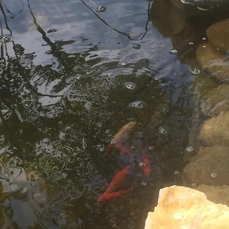 Apartmán Lelle-kert 02