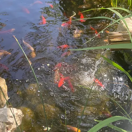 Apartmán Lelle-kert 02 *