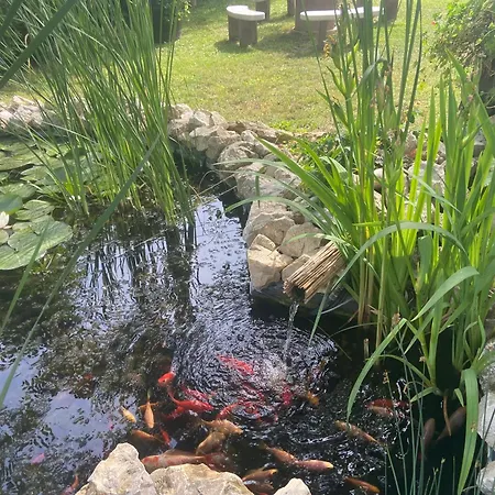 Apartmán Lelle-kert 02